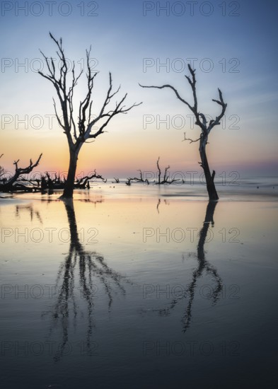 Meditative seascape at Boneyard Beach on Bull Island in South Carolina at sunrise