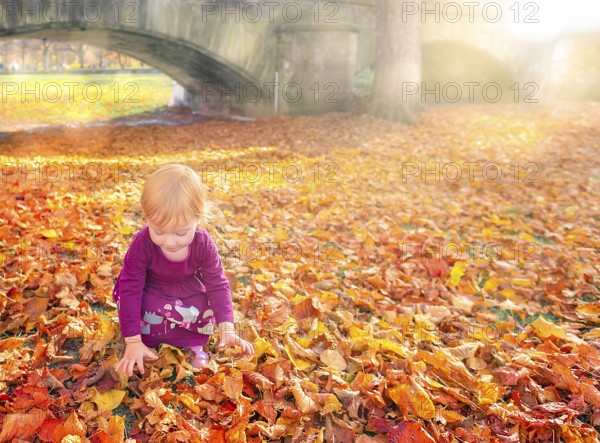 Happy little girl enjoying the fallen colorful leaves, stretching to grab them, under the warm autumn sun