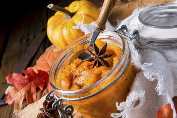 An autumnal rustic pumpkin