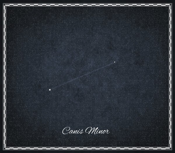 Canis Minor star constellation, Night sky, Cluster of stars, Deep space, Lesser Dog constellation