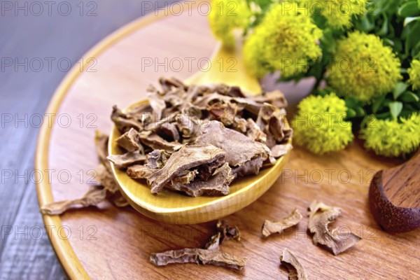 Spoon with dry roots of Rhodiola rosea, knife, fresh flowers Rhodiola rosea on a wooden tray on a wooden boards background