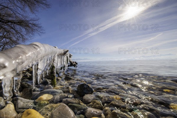 Clear water meets stony beach with icicles on the branch, the sun shines brightly, harbour, Gohren, Lake Constance, Baden-Württemberg, Germany