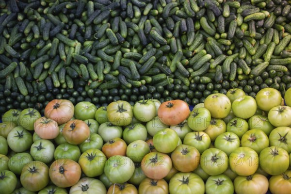 Green unripe fresh tomato and cucumber for food concept