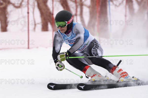 KAMCHATKA PENINSULA, RUSSIAN FEDERATION, APRIL 2, 2019: Russian Men's Alpine Skiing Championship, giant slalom. Mountain skier Pavel Nikolaev Krasnoyarsk Region skiing down snowy mountain slope