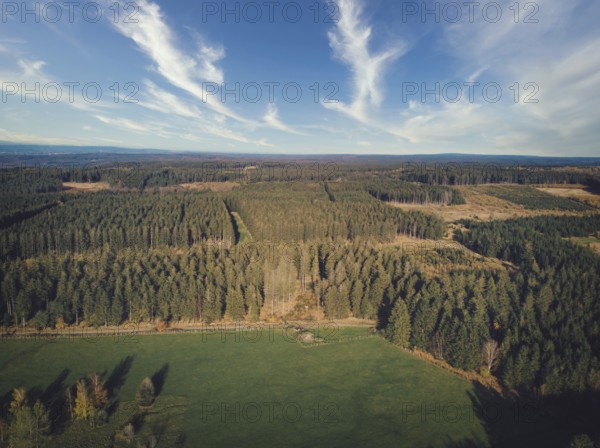 Aerial of pine forest and meadow and pasture in the Ardennes, Belgium. Beauty in nature