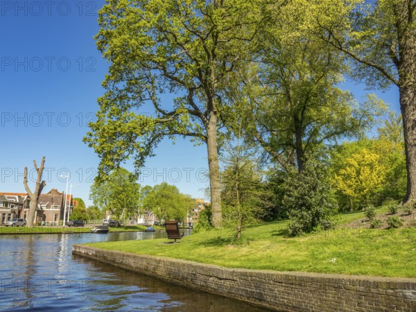 A calm river flows through a park with tall trees and lush green grass under a bright blue sky, alkmaar, the netherlands
