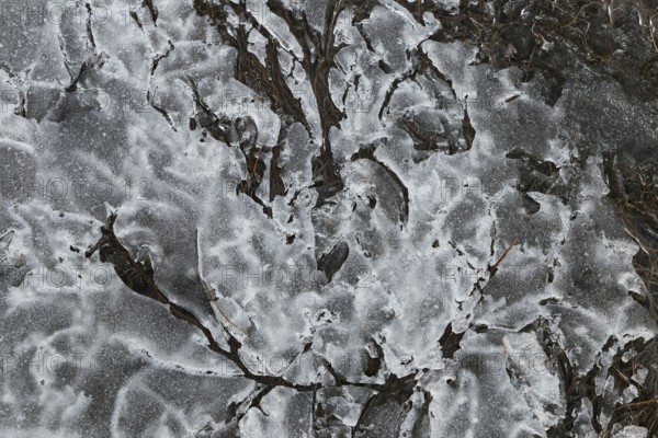 Nature, melting ice pattern, Province of Quebec, Canada