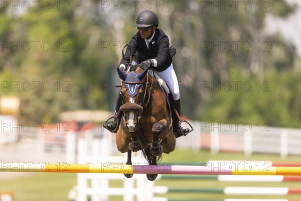 Sameh el Dahan of Great Britain, riding WKD Toronto, compete in the 1.60m Grand Prix during The Continental international competition at Spruce Meadows, in Calgary, Canada, North America