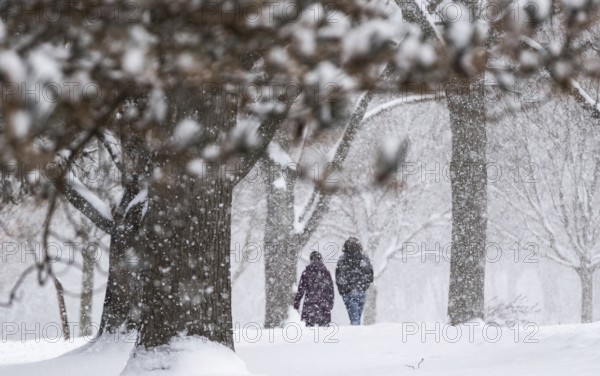 Heavy snow squalls of lake-effect snow falls over Springbank Park in London, Canada. Environment Canada predicted 25-35cm of snow would fall over the region in 24 hours in London, Ontario, Canada, North America