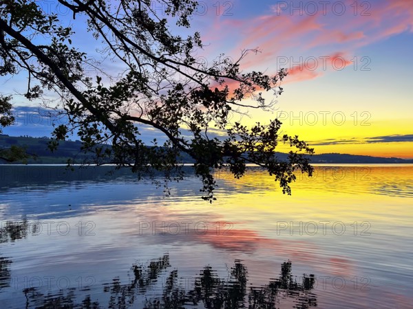 Colourful sunset on Lake Sempach with pink and blue sky reflections in the water, Sempach, Lucerne, Switzerland