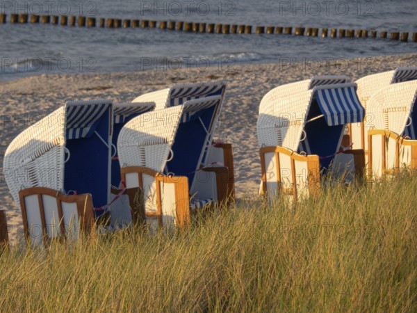 Row of beach chairs stands on the sandy beach overlooking the sea on a summer's day, zingst, mecklenburg-vorpommern, germany
