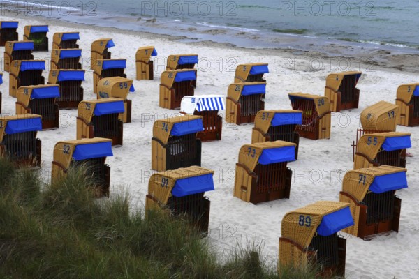 Numbered beach chairs
