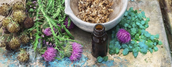 Mineral perfume salt and other ingredients for Spa treatments.Photo tinted