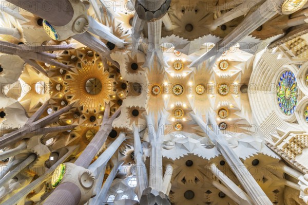 Barcelona, Spain, April 7, 2023: Interior of La Sagrada Familia cathedral, designed by Gaudi, it is being built since 1882. graphy