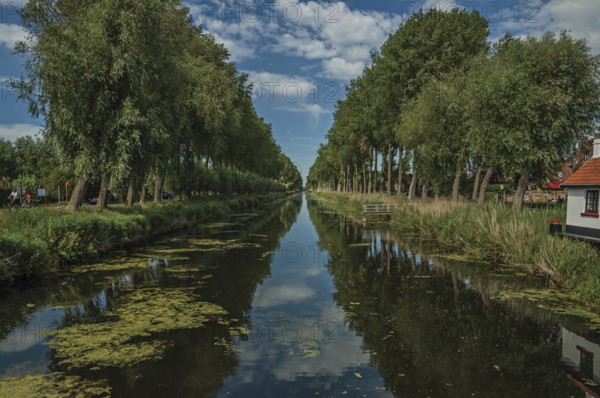 Bushes and grove along canal with sky reflected on water, in the late afternoon and blue sky, near Damme. A quiet and charming countryside old village near Bruges. Northwestern Belgium