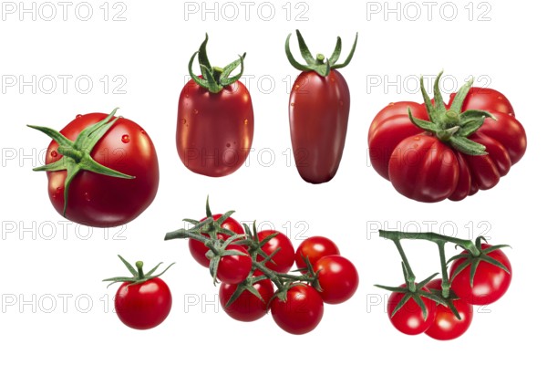 Italian tomatoes: Roma VF, San Marzano, Costoluto, Pachino, Round. Clipping paths for each object