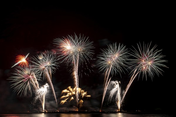 Real Fireworks display celebration, Colorful New Year Firework