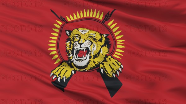 Tamil Tigers Flag, Closeup View