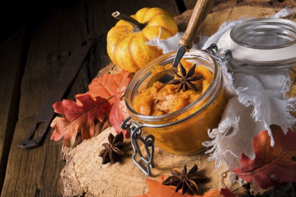 An autumnal rustic pumpkin