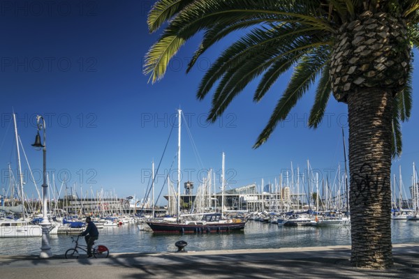 Urban marina view and pedestrian promenade in port vell area of barcelona spain