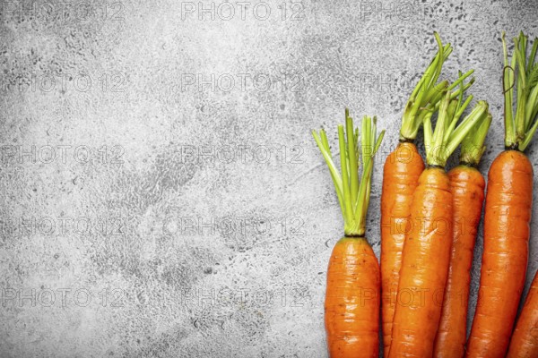Fresh raw organic farmer carrots with leafs arranged on grey rustic stone background top view, healthy carrots in balanced nutrition and cooking concept, space for text, food photography, food photography