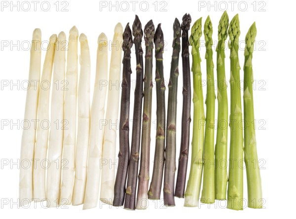 White, green and purple asparagus cropped on a white background