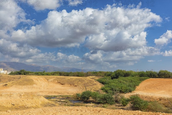 Landscape Oman, Raysut Waste Water Treatment Plant, Tree, Palm, Building, Steppe Eagle, Aquila nipalensis, Aigle des steppes, ¡guila Esteparia, Biotope, Raysut Waste Disposal, Salalah, Dhofar, Oman