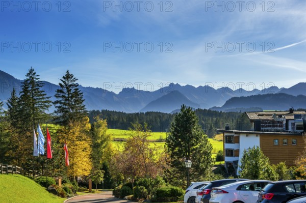 Green meadows, Allgäu Alps and mixed forest with colourful flags near Ofterschwang, Allgäu, Bavaria, Germany