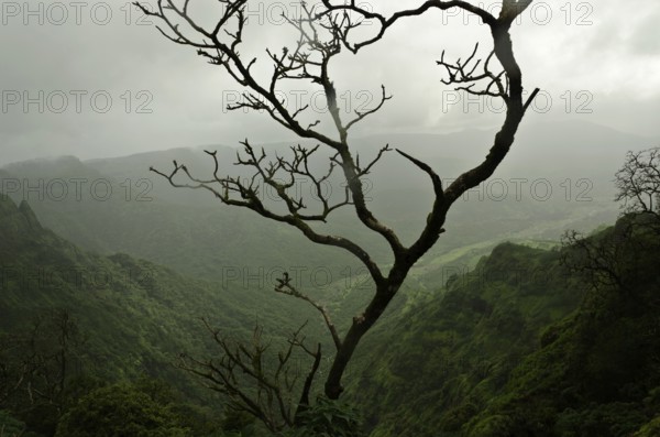 Darshan point, Amba Ghat, Shahuwadi, Kolhapur, Maharashtra, India Asia