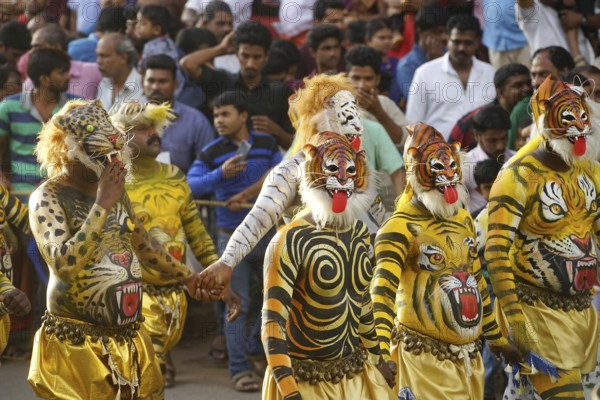 Pulikali Tiger Dance procession, Onam festival, Thrissur, Kerala, India, Asia