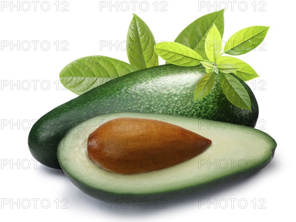 Whole and half green avocado Fuerte (Persea americana) with leaves. Clipping paths, shadow separated