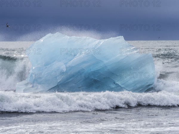 Diamond Beach, iceberg in the surf, near Jökulsarlon glacier lagoon, Vatnajökull National Park, Hornafjörður, South Iceland, Iceland