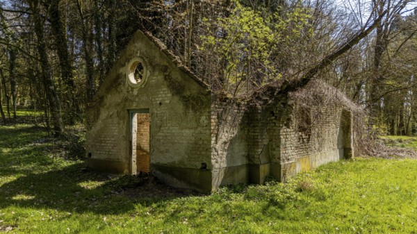 Old, overgrown brick structure in natural forest surroundings in the sunlight, New Steinach Castle, Lower Bavaria