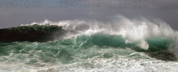 High wave piles up metres high in front of rolling over. Landscape format. High wave towers metres high in front of overturning. Horizontal format