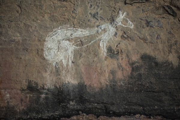 Depiction of a kangaroo, Kakadu National Park, Northern Territory, Australia