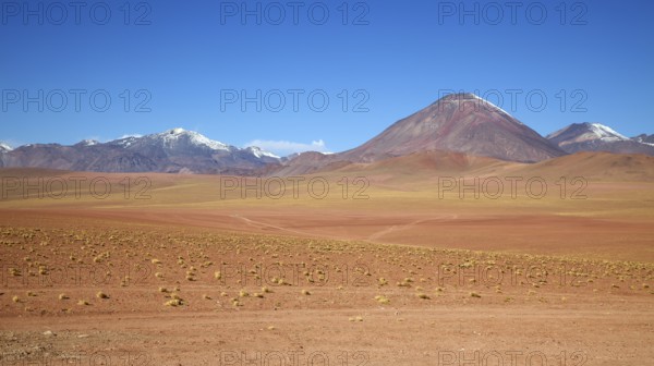 Atacama Desert Laguna Chaxa