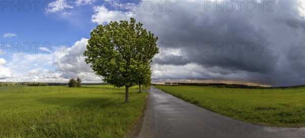 Harz landscape Selketal