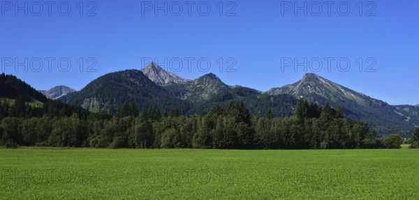 Tannheimer Tal, Tyrol, Austria, view of the Geißhorn in the Allgäu Alps