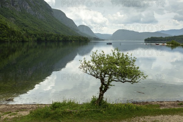 Colorful spring panorama of the Bohinj Lake at Ukanc. Picturesque moning scene in the Triglav National Park, Julian Alps