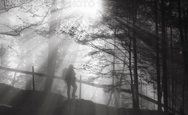 Black and white image with the silhouette of a man hiking through woods, on trails illuminated by sun rays. Photo with a strong contrast between shadow and light