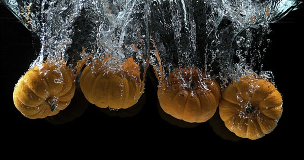 Dwarf Pumpkin (cucurbita pepo), Fruit Falling into Water against Black Background