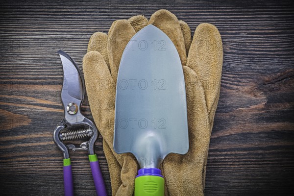 Hand spade Garden shears Safety gloves on wooden board Agriculture concept