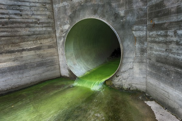 Bright green polluted effluent flowing through a drainage pipe exiting through a concrete wall in an environmental and ecological concept