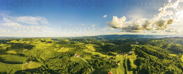 South styria vineyards aerial panorama landscape. Grape hills view from wine street in summer. Tourist destination, travel spot
