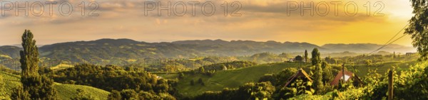 South Styria Vineyards landscape in Sulz Austria. View at Vineyard fields in sunset sun in summer. Tourist destination