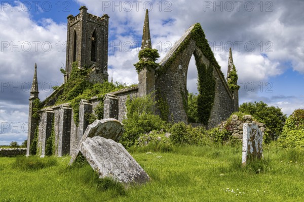 Ballynafagh Church Ruin, County Kildare, Ireland