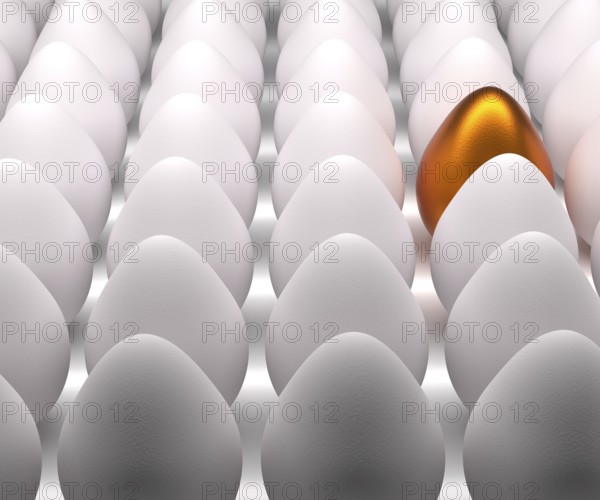 One golden Easter egg with many natural white eggs on a studio background, 3d rendering