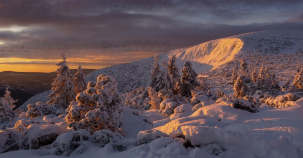 Sunrise in winter in the Karkonosze Mountains. Karkonosze National Park, Poland