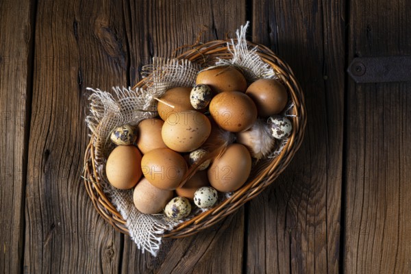 Fresh eggs straight from the farm in a basket