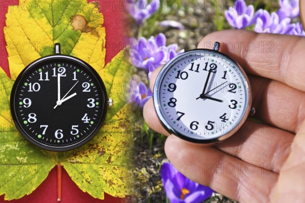 Black clock on autumn leaves and white clock in front of crocuses in spring, symbolic photo summer time and time changeover, photomontage